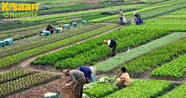 2020 हमें सामाजिक रूप से जिम्मेदार निवेश के लिए प्रेरित कर रहा है, क्वांटम एमएफ के जिमी पटेल