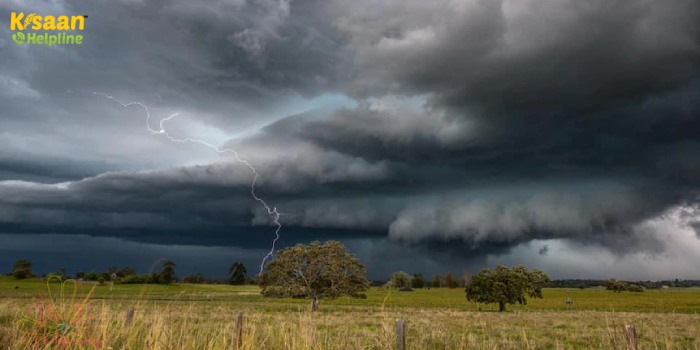 Rain Alert: मध्यप्रदेश, राजस्थान, गुजरात समेत इन राज्यों में भारी बारिश की संभावना, जानें मौसम विभाग की चेतावनी