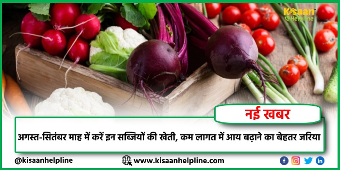 अगस्त-सितंबर माह में करें इन सब्जियों की खेती, कम लागत में आय बढ़ाने का बेहतर जरिया