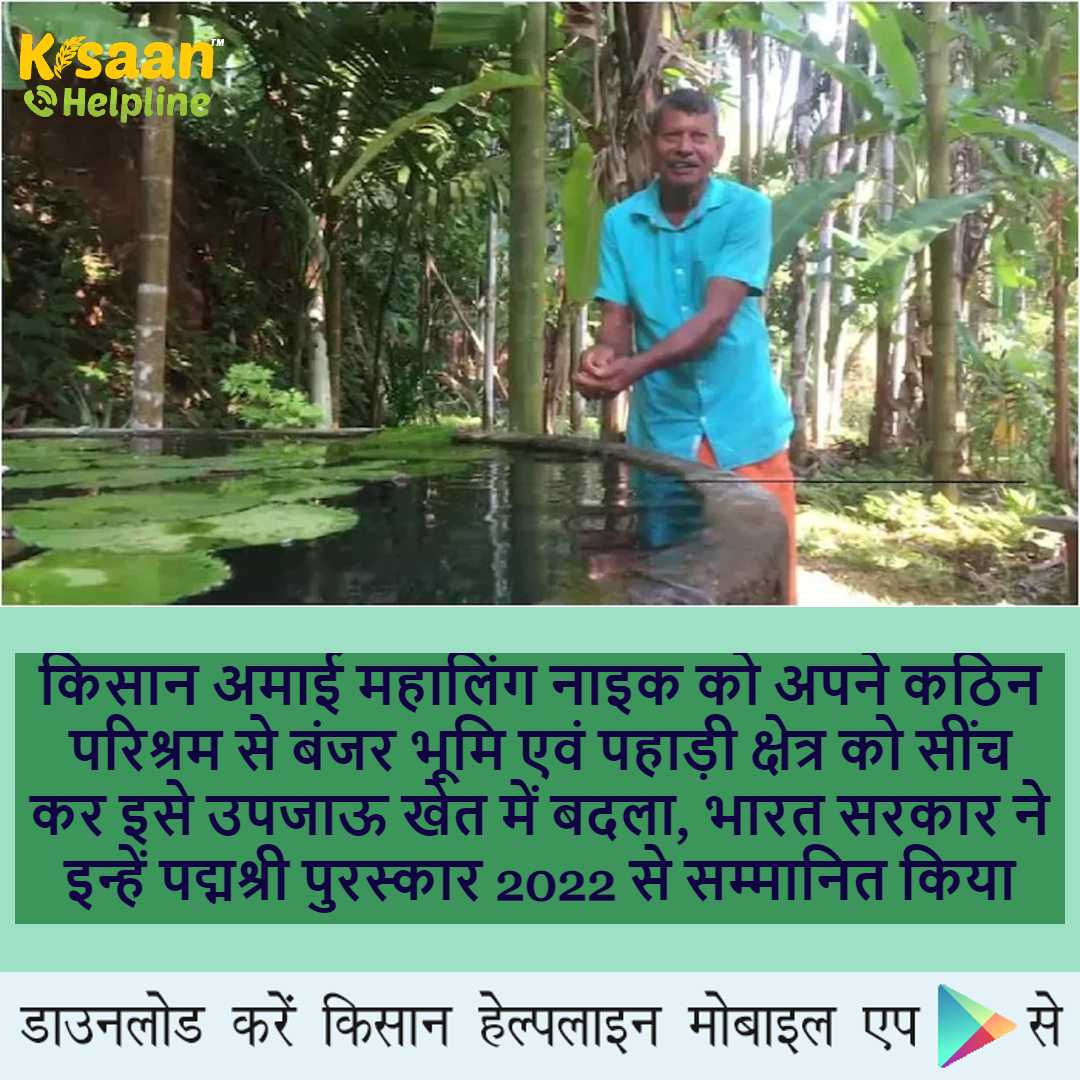 प्रेरक किसान: एक किसान अपने कठिन परिश्रम से बंजर भूमि एवं पहाड़ी क्षेत्र को सींच कर इसे उपजाऊ खेत में बदला