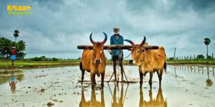 हिमाचल प्रदेश में प्राकृतिक खेती करने वाले लगभग 150,000 किसानों को किया जाएगा प्रमाणित