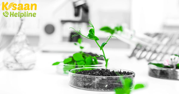 जैव-जैविक उत्पाद खाद्य उत्पादन में लाभकारी बैक्टीरिया के लिए रास्ता बनाते हैं