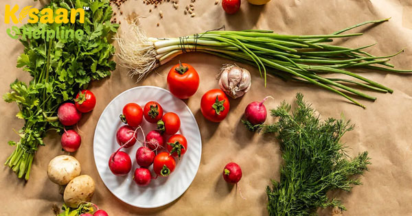 भारत में जैविक खाद्य की मांग बढ़ रही है, लोग जैविक खेती की और अग्रसर हो रहें है