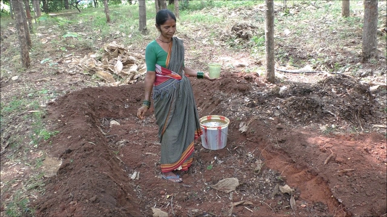 जैविक खेती के लिए सरकारी योजनाओं से लाभ