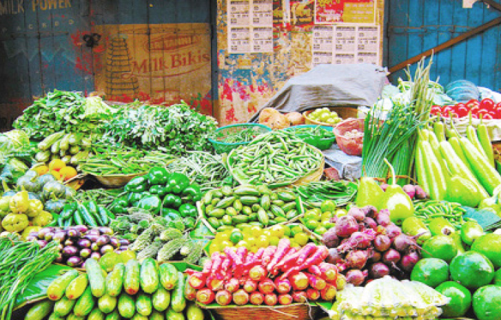 इस बार सब्जियों की खेती में क्या - क्या रखना है ध्यान, पूरी जानकारी ध्यान से पढ़े