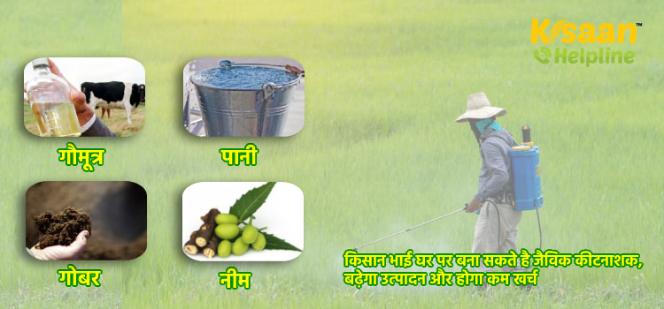 किसान भाई घर पर बना सकते है जैविक कीटनाशक, बढ़ेगा उत्पादन और होगा कम खर्च