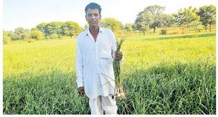 खेती का तरीका बदला तो सब्जियों से आई खुशहाली