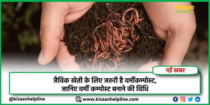 जैविक खेती के लिए जरुरी है वर्मीकम्पोस्ट, जानिए वर्मी कम्पोस्ट बनाने की विधि