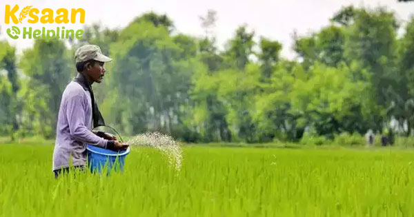 जैव उत्तेजक के लिए नियमित रूप से छात्रों को रोजगार प्राप्त करना