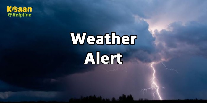 IMD Weather Alert : मानसून एक हफ्ते की देरी के बाद पहुंचा केरल, मौसम विभाग ने जारी किया अलर्ट