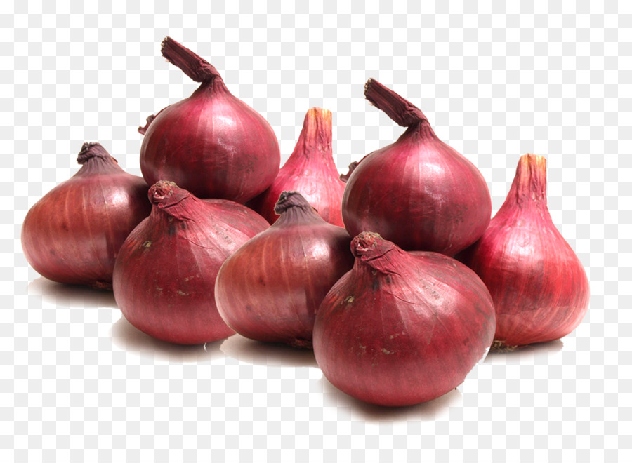 प्याज की उन्नत खेती जाने पूरी विधि और भी अतिरिक्त जानकारी