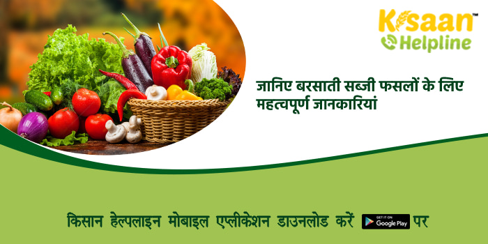 जानिए बरसाती सब्जी फसलों के लिए महत्वपूर्ण जानकारियां