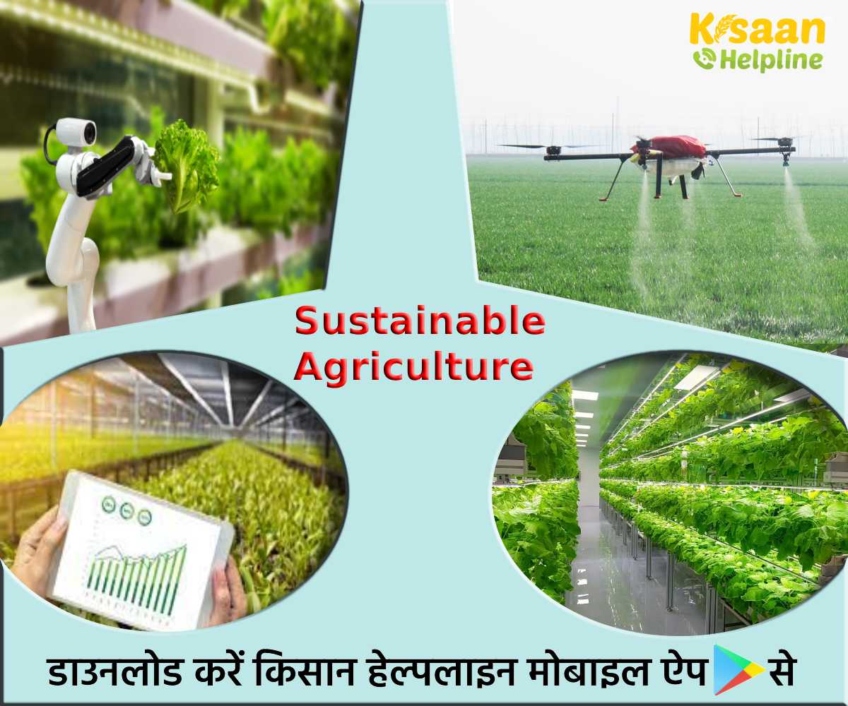 Sustainable Agriculture: नई-नई तकनीक और विज्ञान के साथ खेती को अधिक टिकाऊ बनाना