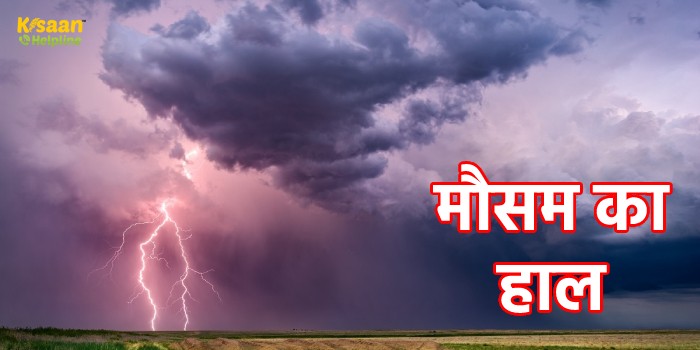 इन राज्यों में आज बारिश के साथ आंधी-तूफान का अलर्ट, जानें अपने इलाके का मौसम का हाल