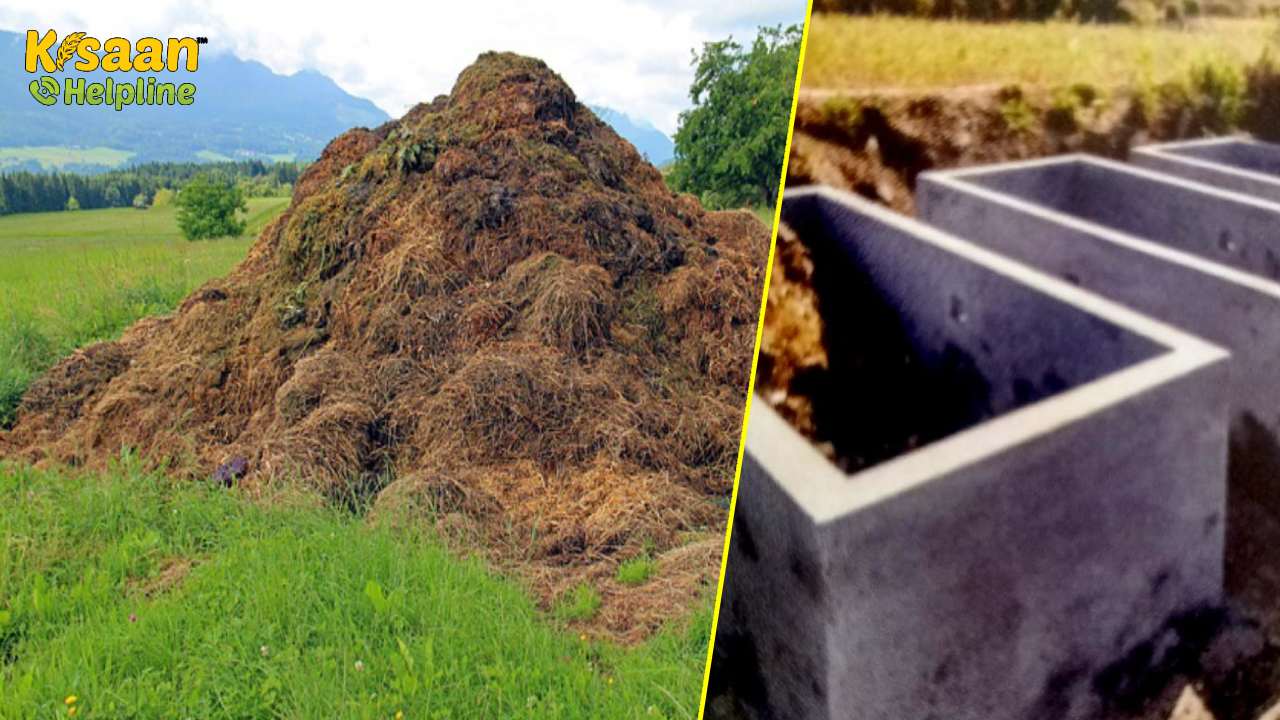 उत्तर पश्चिम हिमालय क्षेत्रों में उच्च गुणवत्ता वाली कम्पोस्ट खाद तैयार करने हेतु वायुजीवी गड्ढा विधि