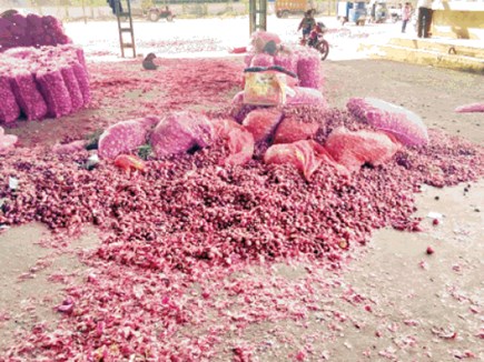 प्याज का बना खेल, खिलौना बने किसान