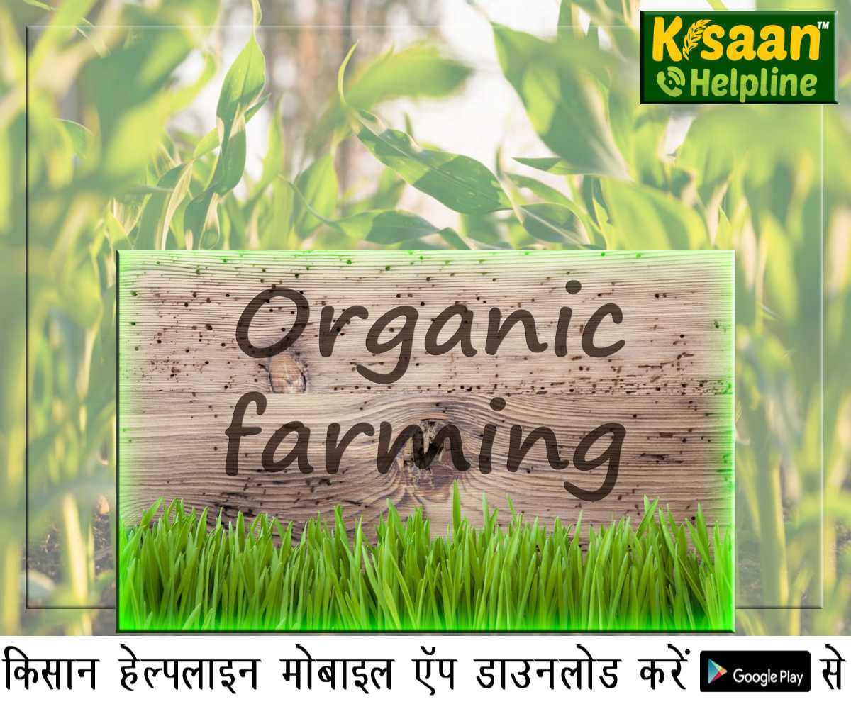 कृषि वैज्ञानिक ने कहा किसान खेती से दोगुना कर सकते हैं अपनी आय