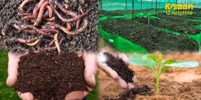 किसानों का मित्र है केंचुआ, जानिए केंचुआ खाद बनाने के लिए उचित स्थान, समय, सामग्री और प्रयोग मात्रा के बारे में