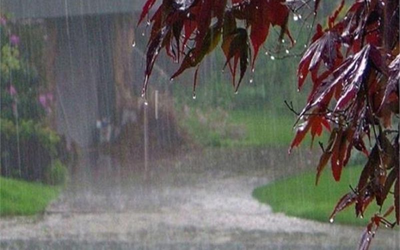 मध्य प्रदेश के कई इलाकों में देश के तेज हवा के साथ बारिश हुई गरज चमक के साथ ओले गिरने के आसार