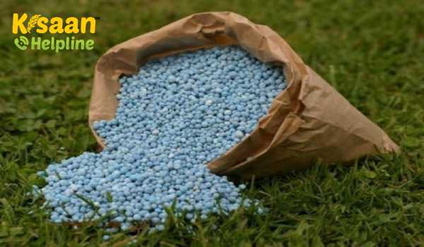 आरसीएफ ने COVID-19 द्वारा चुनौतियों के बावजूद उर्वरकों की बिक्री में 35% से अधिक वृद्धि दर्ज की