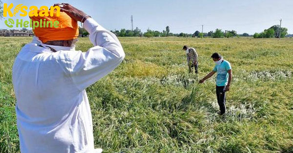 कृषि क्षेत्र को कोरोनावायरस से प्रभावित नहीं किया जाएगा: कृषि मंत्री