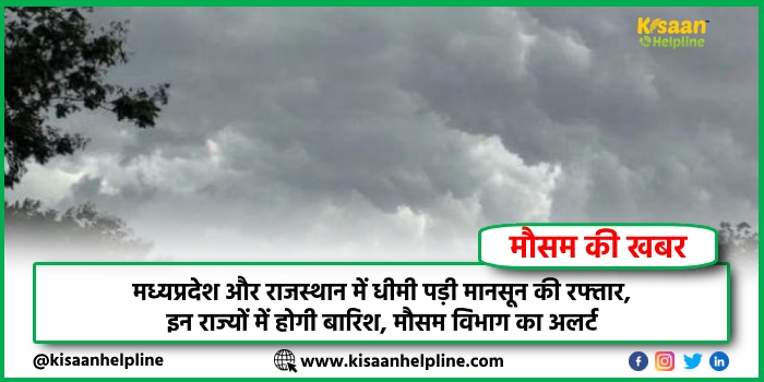 मध्यप्रदेश और राजस्थान में धीमी पड़ी मानसून की रफ्तार, इन राज्यों में होगी बारिश, मौसम विभाग का अलर्ट