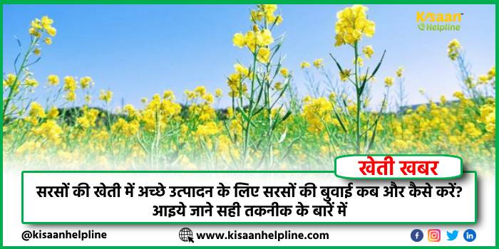 सरसों की खेती में अच्छे उत्पादन के लिए सरसों की बुवाई कब और कैसे करें? आइये जाने सही तकनीक के बारें में