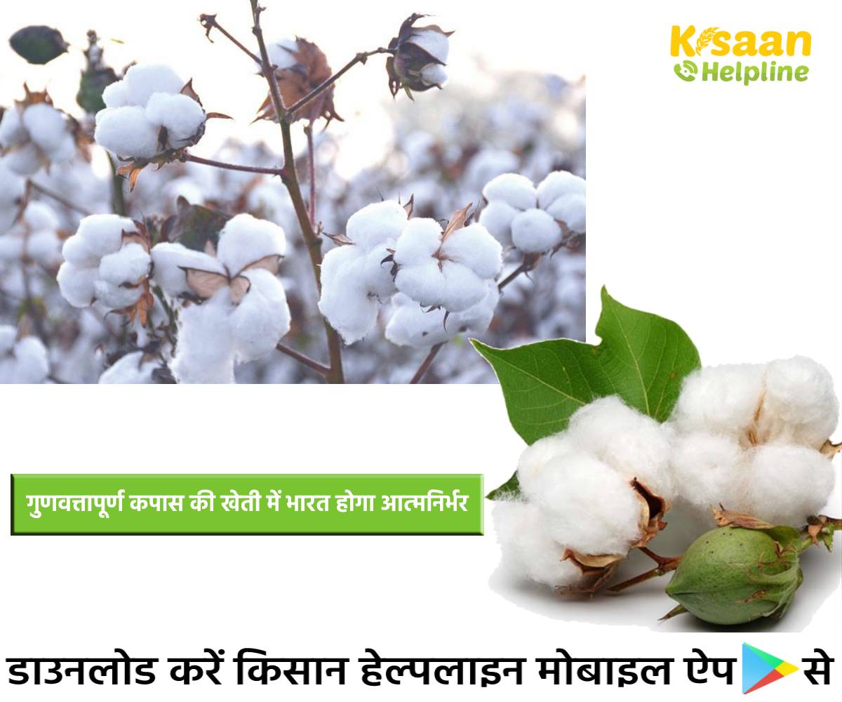 मोदी सरकार ने कपास किसानों के हित में भारतीय कपास आयोग को 17,408 करोड़ रुपये के मूल्य समर्थन को दी मंजूरी