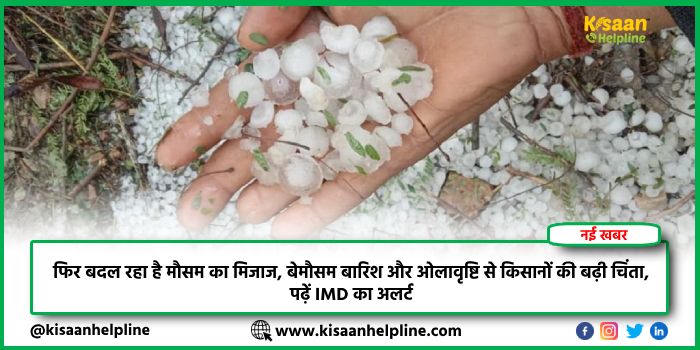 फिर बदल रहा है मौसम का मिजाज, बेमौसम बारिश और ओलावृष्टि से किसानों की बढ़ी चिंता, पढ़ें IMD का अलर्ट