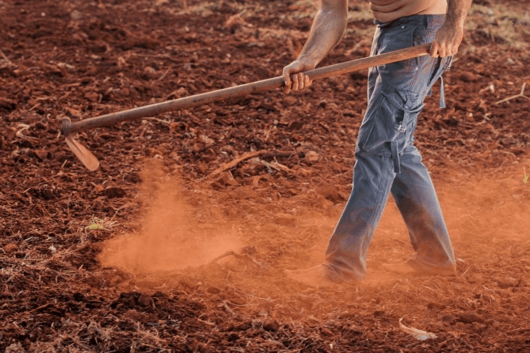कैसे बनायें कृषि में अपना करियर: कैसे बनें किसान यहां बताया गया 