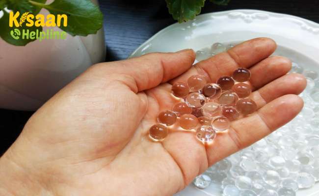 हाइड्रोजेल किसानों के भाग्य को बदल सकता है, इसकी मदद से वे कम पानी में भी खेती कर सकते हैं