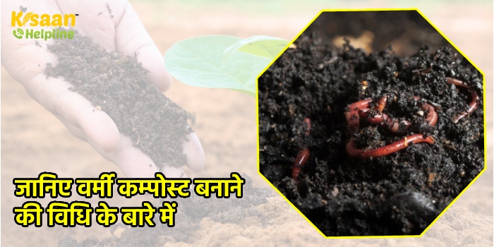 जानिए वर्मी कम्पोस्ट बनाने की विधि के बारे में