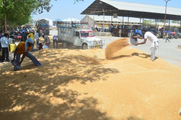 कृषि मंडी बोर्ड ने भेजा कृषि मंत्रालय को, किसानों के भुगतान का प्रस्ताव