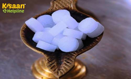 कपूर उद्योग से कर सकते है अच्छी कमाई, जानिए व्यापार की शुरुआत और उचित योजना के बारे में