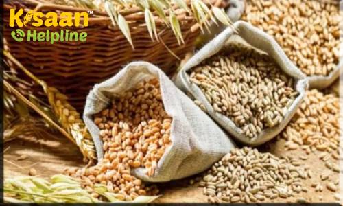 फसल वर्ष 2020-21 में खाद्यान्न उत्पादन 308.65 मिलियन टन के नए रिकॉर्ड को छूने का अनुमान: कृषि मंत्रालय 