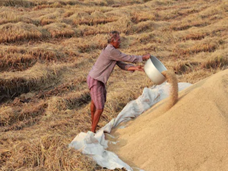 किसानों के हित में लिया गया बड़ा फैसला, मंडी में नहीं बेचना पड़ेगा अनाज