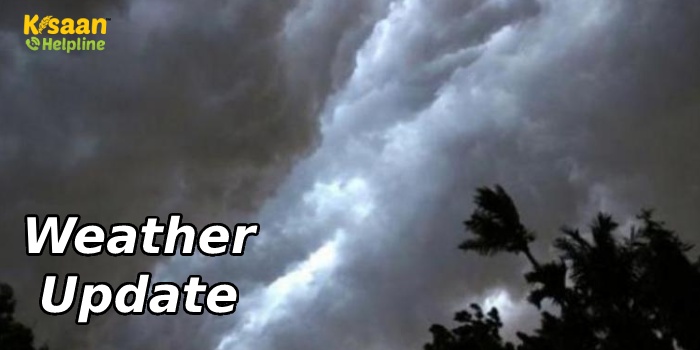 Weather Update: चक्रवाती तूफान बिपरजॉय के चलते मौसम में बदलाव, इन राज्यों में बारिश और भीषण गर्मी की चेतावनी, IMD ने जारी किया अलर्ट