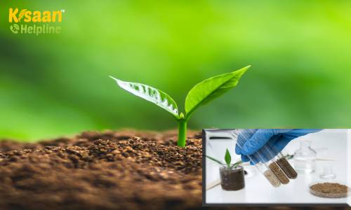 'हर खेत- स्वस्थ खेत' अभियान के तहत हरियाणा सरकार ने किया 40 नई भूमि परीक्षण प्रयोगशालाओं का उद्घाटन, 25 लाख एकड़ भूमि का होगा मिट्टी परिक्षण