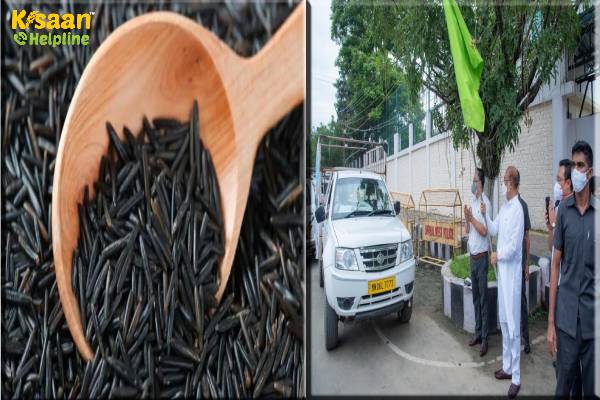 मणिपुर ने जैविक काले चावल की खेप यूरोप भेजी, मणिपुर के  मुख्यमंत्री बीरेन सिंह ने दिखाई हरी झंडी