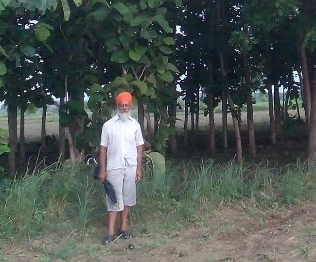 एक बीघा खेत में, सागौन के 500 पेड़, और15 साल में करोड़पति बना किसान