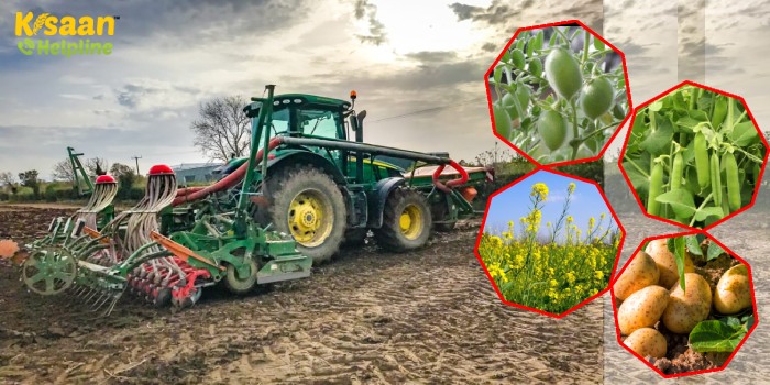 Rabi Season 2022: जल्द निपटा लें ये काम और करें उन्नत किस्मों के साथ चना, मटर, आलू और सरसों की बुवाई