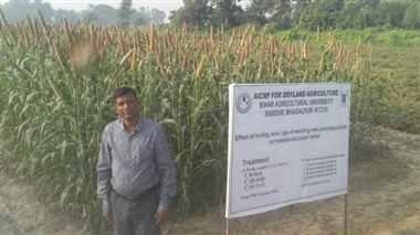 हाई क्लास डिश बनेगी अब बाजरा, कोदो, रागी