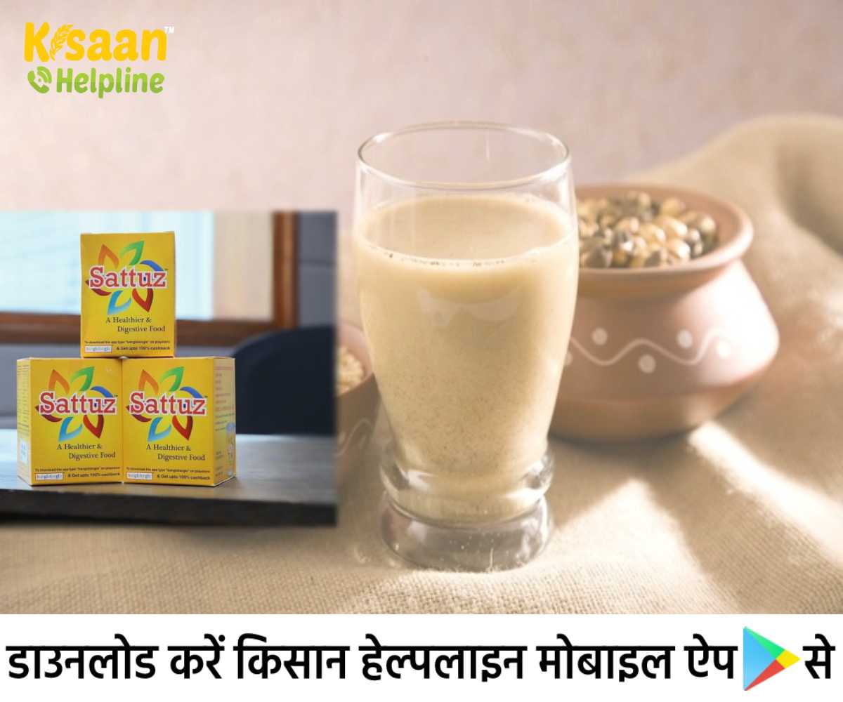 Unique Story: नौकरी छोड़कर एक युवक ने शुरू किया सत्तू का व्यापार, देश-विदेशों में मिल रही स्टार्टअप को पहचान