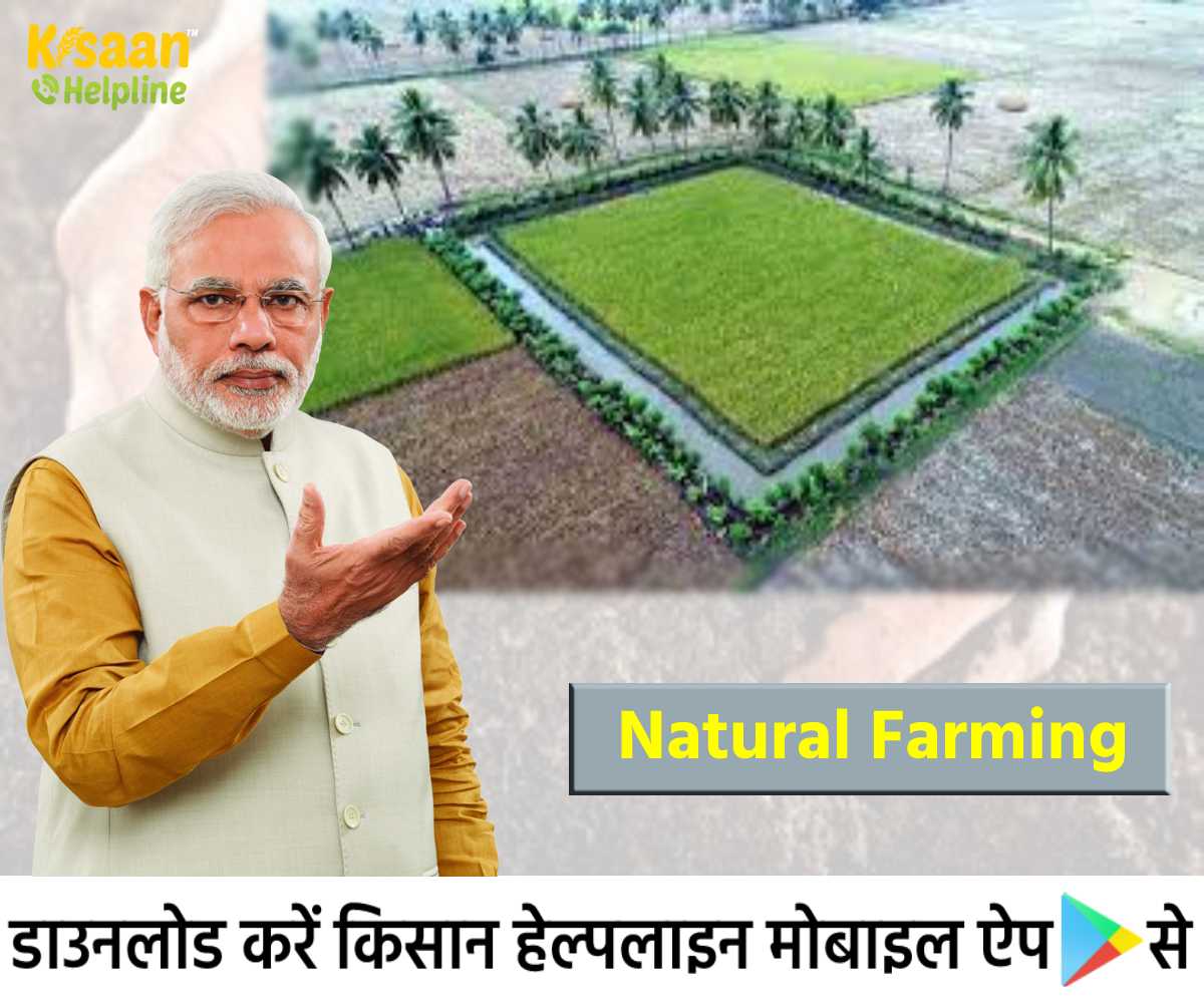 मोदी ने किसानों को लागत बचाने और पैदावार बढ़ाने के लिए प्राकृतिक खेती को अपनाने का किया आह्वान
