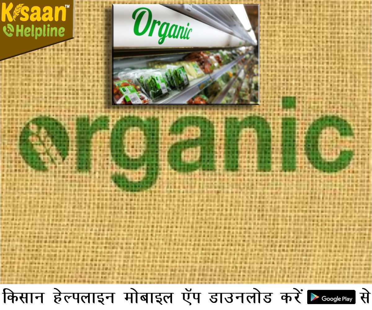 आत्मनिर्भर भारत: किसान बनें आत्मनिर्भर, शुरू किया जैविक शॉपिंग मॉल