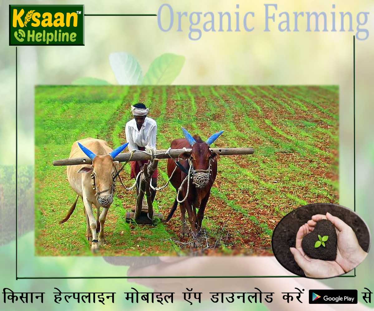 Organic Farming: जैविक खाद बनाने की विधियां जिसको किसान अपनाकर अपने फसलों कि कर सकते है सुरक्षा