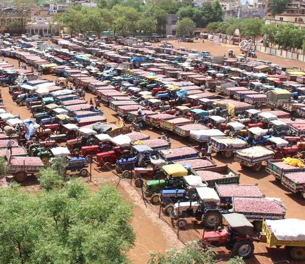 350 ट्रॉलियों में भरकर आया 5 लाख किलो प्याज, 67 लाख रुपए में बिकेगा