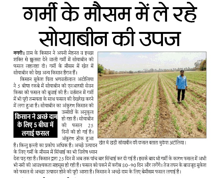 गर्मी के मौसम में ले रही है सोयाबीन की उत्पादन