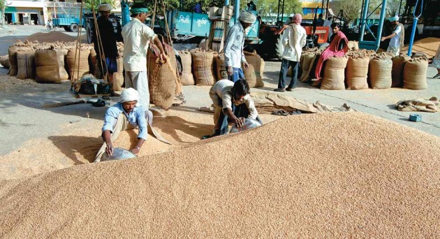 गेंहू की आवक का नया रिकॉर्ड कायम हुआ, किसानो में उत्साह का माहौल है 