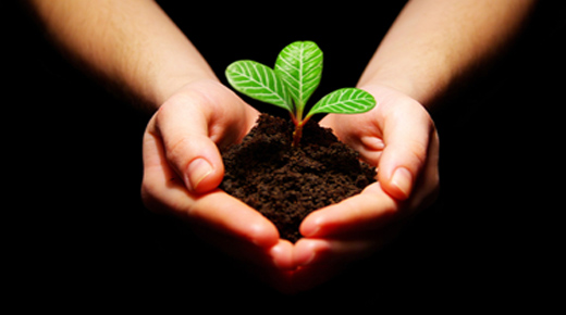 जैविक खेती को लेकर, कृषि विश्वविद्यालय करेगा समर्थन और सहयोग